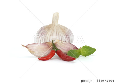 Culinary ingredients herbs and spices on white background 113673494