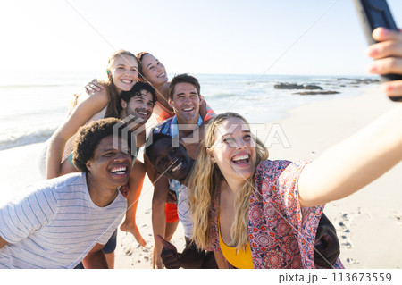 Diverse group of friends taking a selfie on the beach 113673559