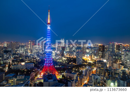 特別点灯で青くライトアップされた東京タワーのとても美しい夜景 113673660