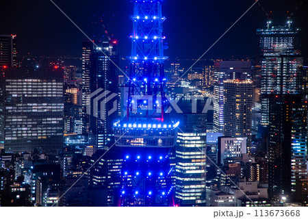 特別点灯で青くライトアップされた東京タワーのとても美しい夜景 113673668