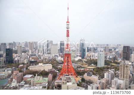 高層ビルから眺める東京タワーのとても美しい風景 113673700