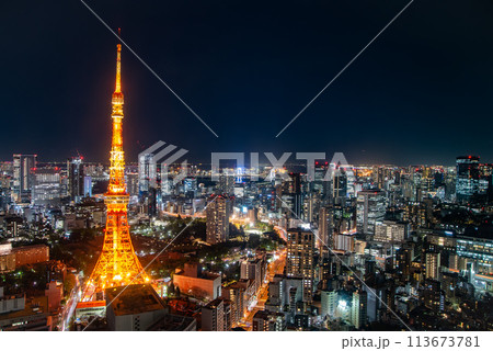 ライトアップされた東京タワーのとても美しい夜景 ライトアップされた東京タワーのとても美しい夜景 113673781