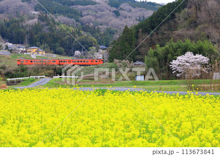 Nゲージ 菜の花畑を走るチビロコ 楽天市場】チビロコの通販