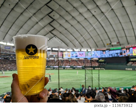 野球を見ながら乾杯 113673912