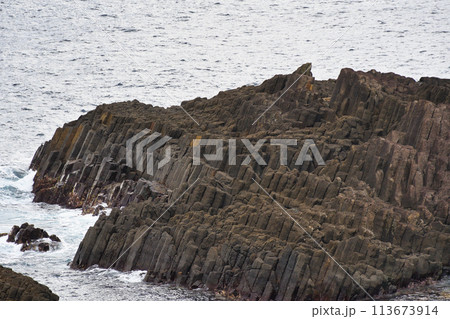 下田 爪木崎の柱状節理(静岡県下田市) 下田 爪木崎の柱状節理(静岡県下田市) 113673914