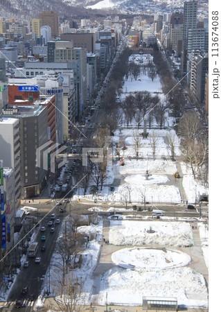 さっぽろテレビ塔から見た冬の大通公園 113674088