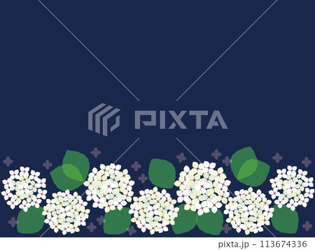 紫陽花　フレーム　白色 113674336