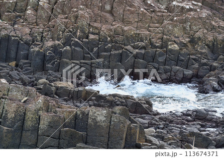 下田 爪木崎の柱状節理（俵磯）静岡県下田市 113674371