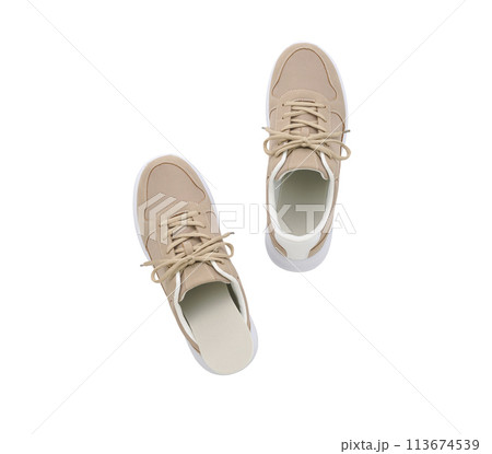 茶色いウォーキングシューズとインソール 茶色いウォーキングシューズとインソール 113674539