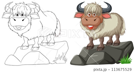 Smiling Yak on a Rock Illustration 113675529