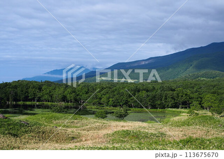 World Heritage Shiretoko National Park in Hokkaido, Japan World Heritage Shiretoko National Park in Hokkaido, Japan 113675670