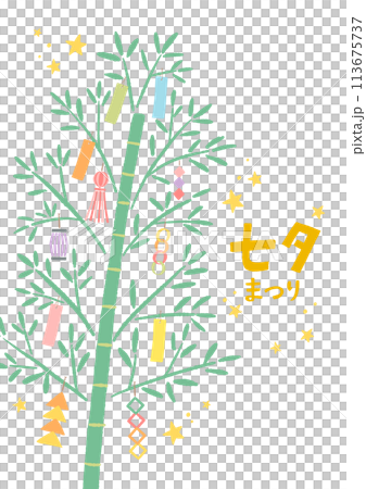 七夕的銀河和竹葉插畫 七夕的銀河和竹葉插畫 113675737