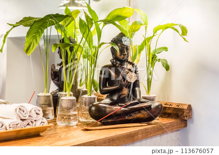 Spathiphyllum cochlearispathum commonly called peace lily growing in water in glass, with buddha Spathiphyllum cochlearispathum commonly called peace lily growing in water in glass, with buddha 113676057