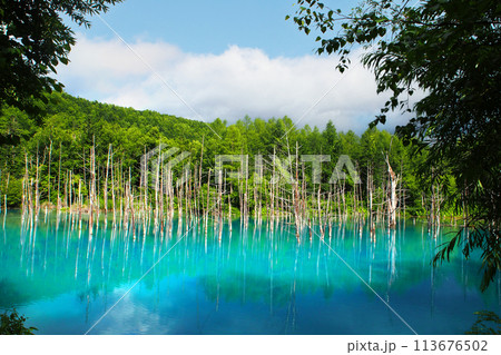 The blue pond 113676502