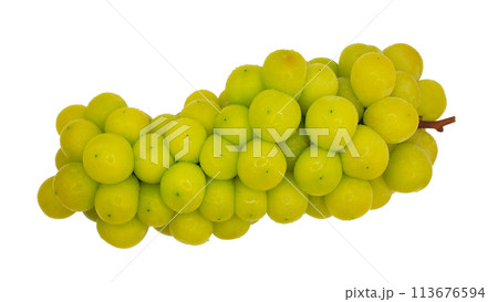 Isolated (cut out) of Shine Muscat grape fruit on white background 113676594