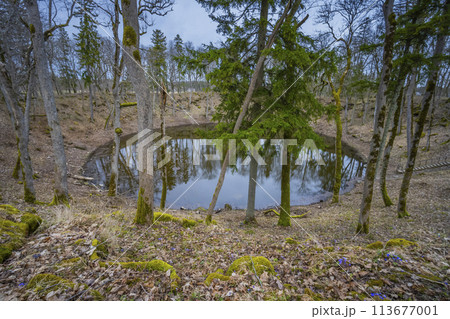 Kaali field of meteorite craters in Saaremaa, Estonia Kaali field of meteorite craters in Saaremaa, Estonia 113677001