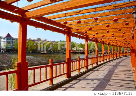 植物園の風景 植物園の風景 113677115