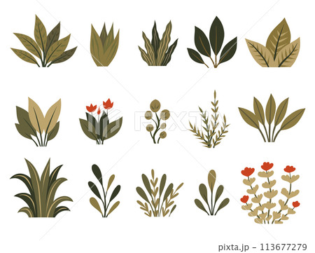 Vector set of green tropical plants and flowers isolated from background. Collection of flat hand drawn greenery bushes. 113677279