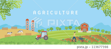 農業　畑と牧場　農作業の風景 113677398