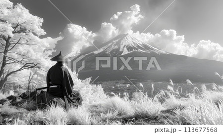 Japanese samurai . noir style Japanese samurai . noir style 113677568