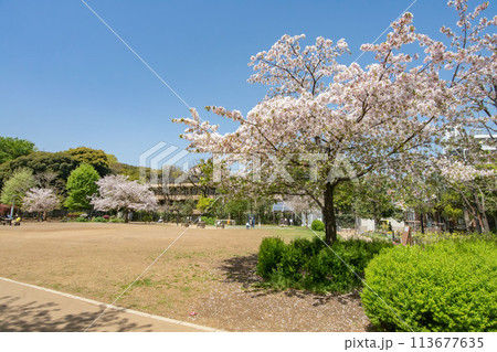 東京都港区、白金台どんぐり児童遊園 東京都港区、白金台どんぐり児童遊園 113677635