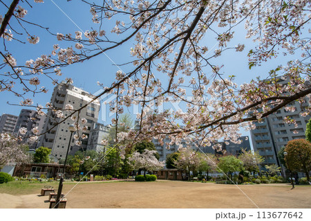 東京都港区、白金台どんぐり児童遊園 113677642