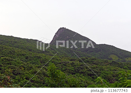 石垣島の野底マーペー山 113677743