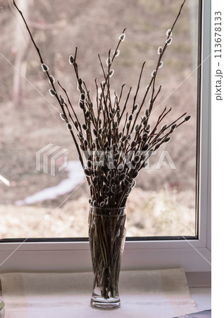 Bouquet of willow branches in vase on the windowsill Bouquet of willow branches in vase on the windowsill 113678133