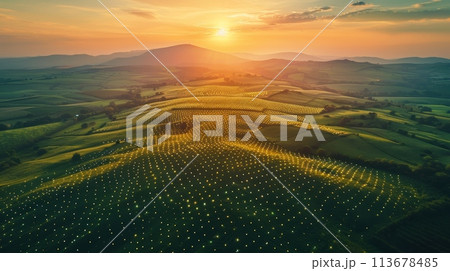 Sunset Over Rolling Hills with Orchards of Fruit Trees in Springtime 113678485