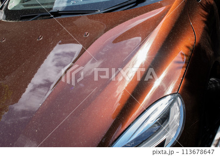 黄砂で汚れた車 黄砂で汚れた車 113678647