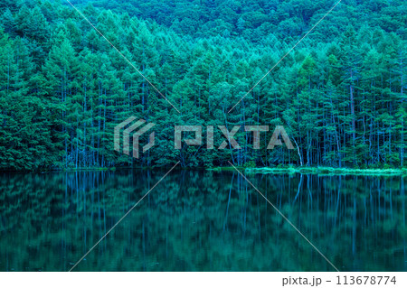 緑響く御射鹿池 113678774