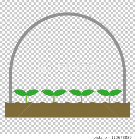 ビニールハウスと植物の正面図 113678889