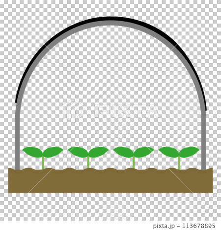 黒い遮光資材のかかったビニールハウスと植物 113678895