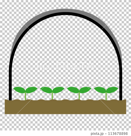 銀色の遮光資材のかかったビニールハウスと植物 113678898