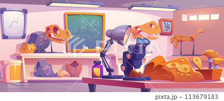 Dinosaur fossil and stone in archaeology museum Dinosaur fossil and stone in archaeology museum 113679183