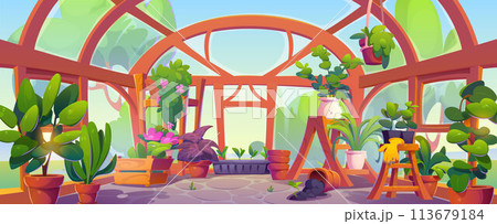 Greenhouse interior with plants 113679184