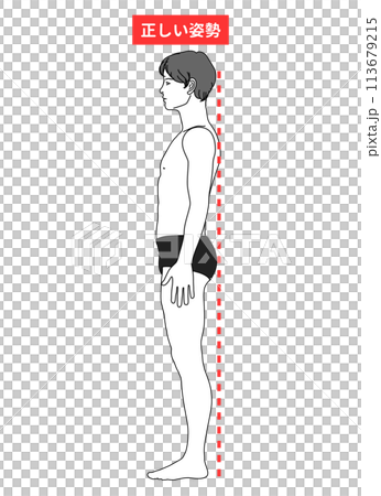 姿勢改善 姿勢矯正 正しく良い姿勢と立ち方 日本人男性の全身横向き 横顔のイラスト 113679215