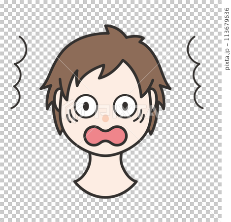 驚いた表情の男の子　イラスト 113679636