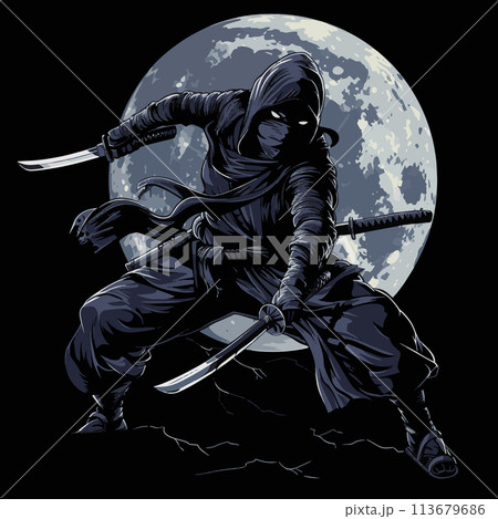 Dangerous Ninja Warrior Moonlit Stealth Dangerous Ninja Warrior Moonlit Stealth 113679686