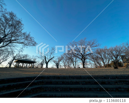 栃木佐野 城山公園の風景 113680118