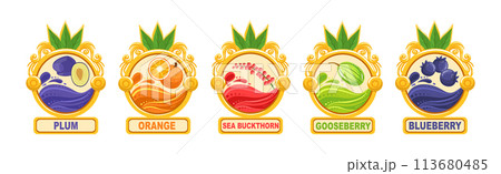 Fruit Ripe and Juicy Sticker and Label Vector Set Fruit Ripe and Juicy Sticker and Label Vector Set 113680485
