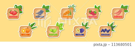 Fruit Ripe and Juicy Sticker and Label Vector Set 113680501