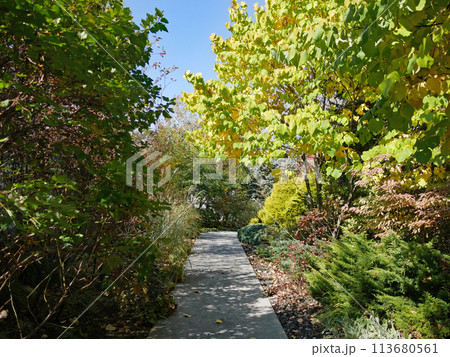 軽井沢千住博美術館への園路 113680561