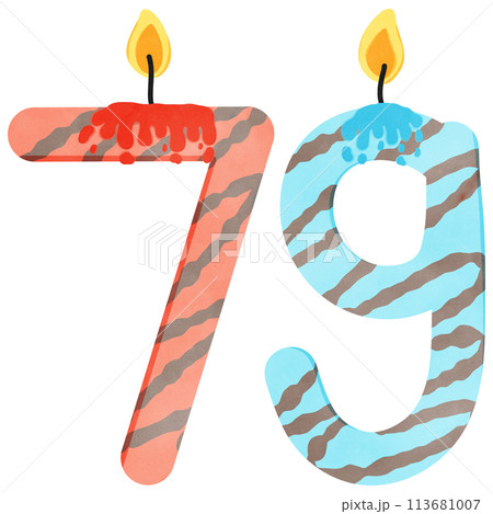 79th Birthday candle number, age, anniversary, burning candle number 113681007
