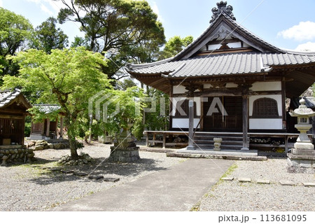 静岡県　東海道小夜の中山峠の久延寺本堂と新緑 113681095