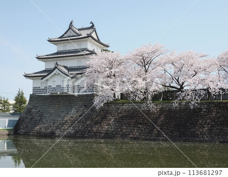 新発田城の春 113681297