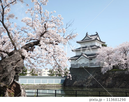 新発田城の春 113681298