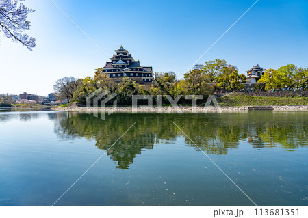 岡山県　お堀側から見た岡山城 113681351