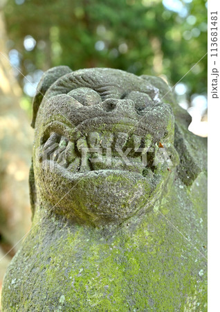 社寺仏閣・藤岡神社 藤岡神社遺跡 栃木市藤岡町 社寺仏閣・藤岡神社 藤岡神社遺跡 栃木市藤岡町 113681481