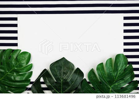 tropical leaves monstera and space copy on blue background tropical leaves monstera and space copy on blue background 113681496